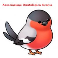 Associazione Ornitologica Sicania....